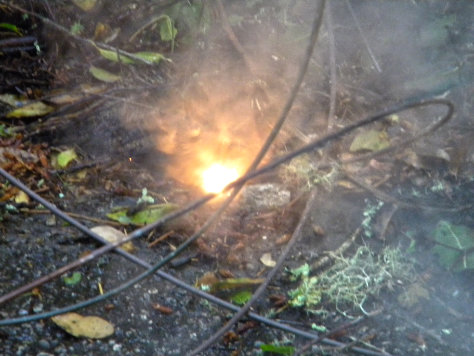 Causes – Environmental Coalition for Power Line Safety