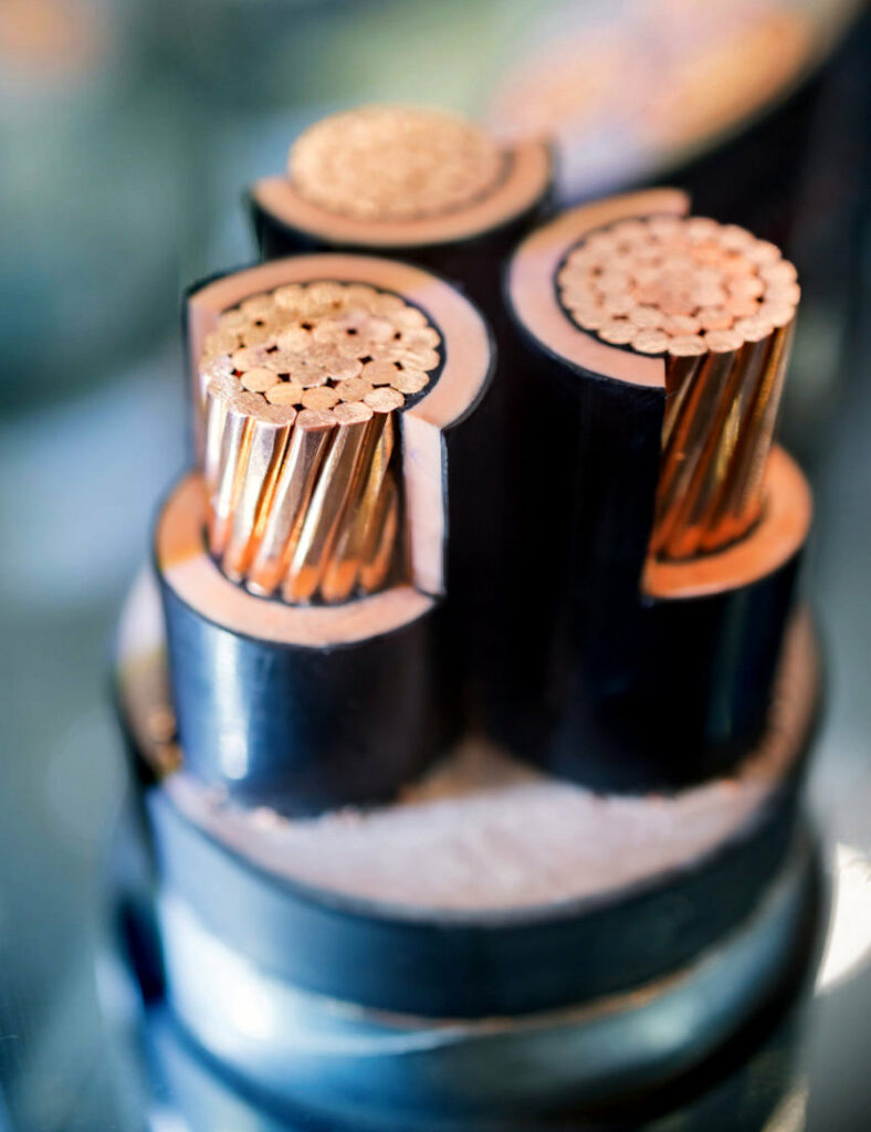 Cross section of high-voltage cable. Thick copper veins are surrounded by a thick layer of polymer insulation.