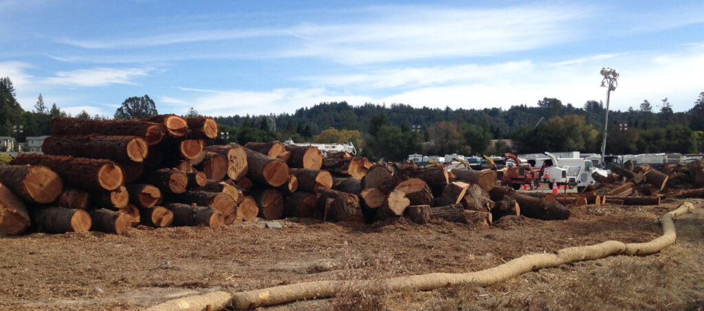 Trees felled by PG&E contractors for EMV program